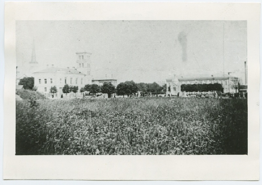 Tallinn, view of the Russian market, on the left sprayhouse.