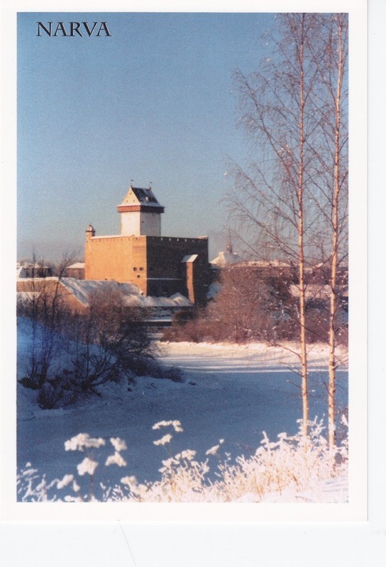Vaade Narva linnusele lõunast