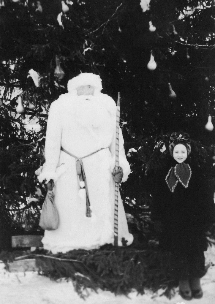 Nääripuu Sillamäe linnas