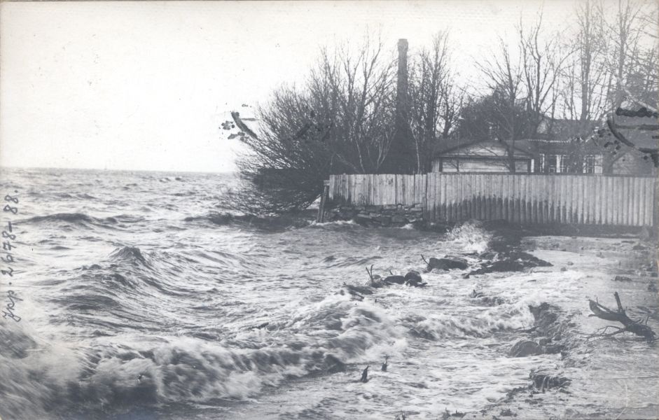 Foto. Dampfi album. Kõrgvesi Õhtu-Kalda tänava algul 22. nov. 1913.