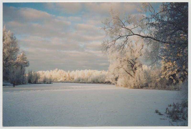 Palamuse  paisjärv 2002. aastal