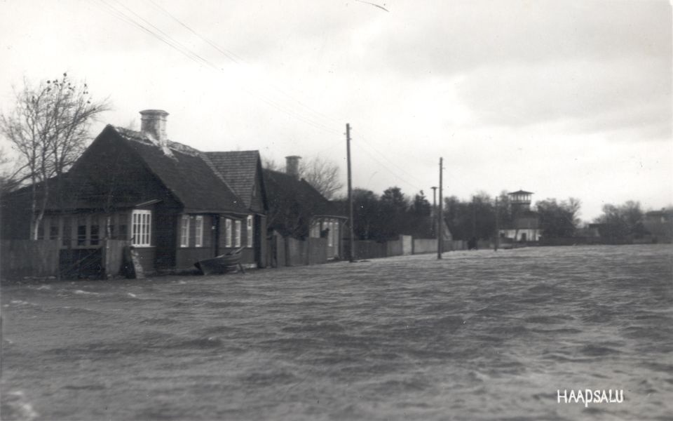 Foto. Dampfi album. Kõrgvesi Uus-Sadama täneval maja nr. 14 kohal 23. sept. 1924.