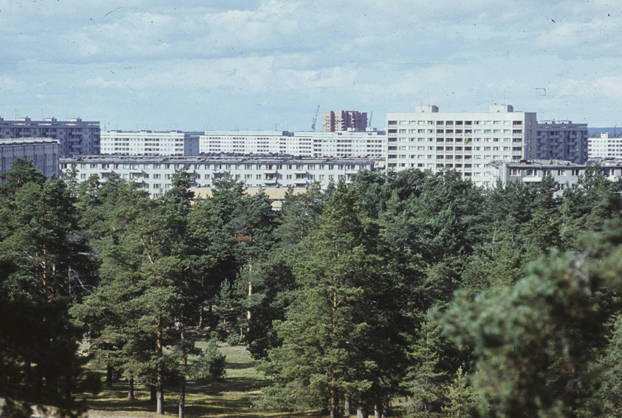 Mustamäe, view of building over the pine forest