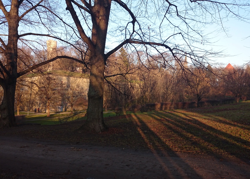 Tallinn, vaade Toompeale ja Rootsi kantsile edelast. rephoto