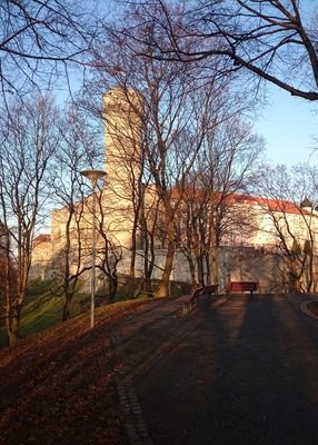 Pikk Hermann rephoto