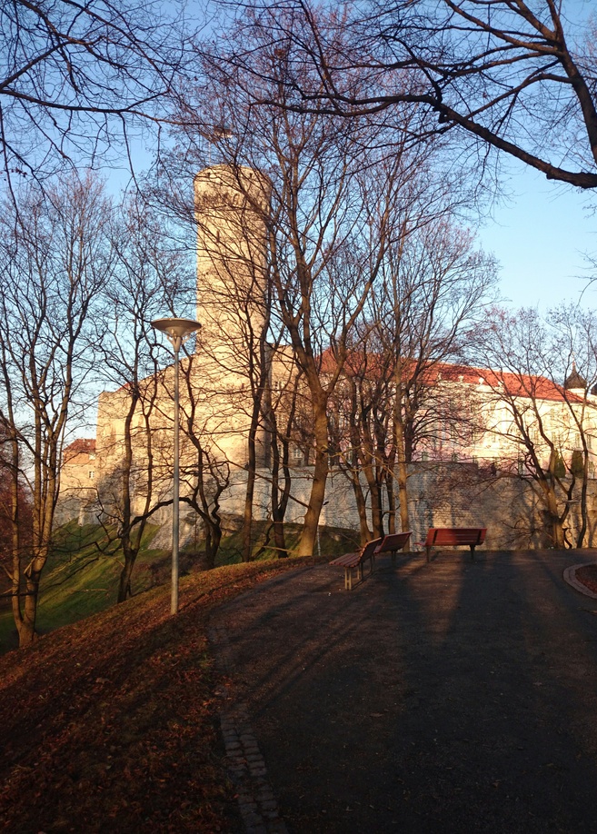 Pikk Hermann rephoto