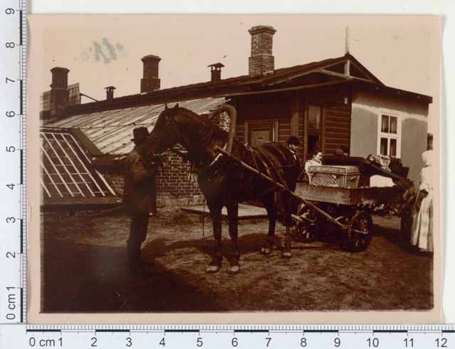 Jaan Tõnisson 1908