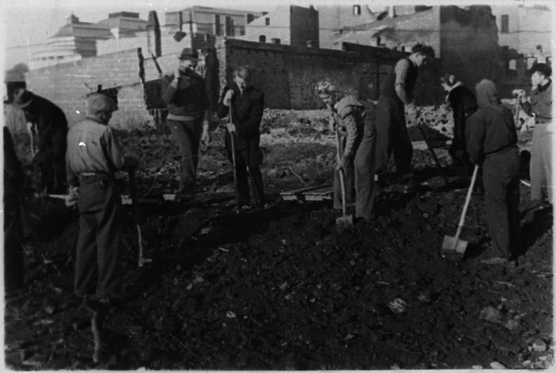 TPI komsomolikomitee algatusel toimus rahvaste sõpruse päevadel sõpruse pargi rajamine, kuhu iga külaline ühe puu istutas, 1970. aastad.