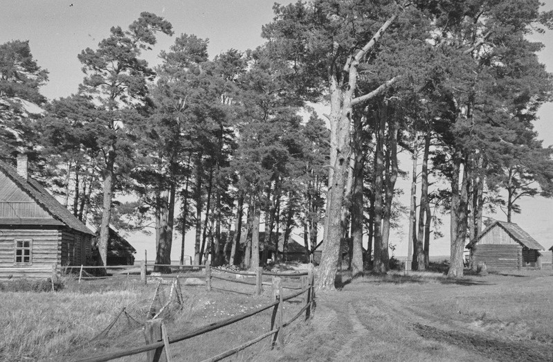 Yashirin kamera xola dushda