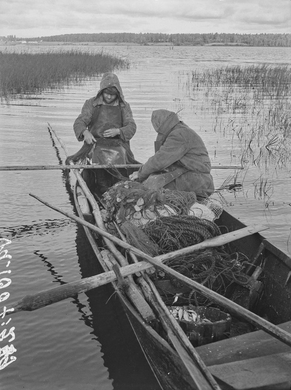 Kalurid (venelased, sõjapõgenikud Leningradist) päästavad rannal paadis istudes kalu võrgust, Savvokkala k