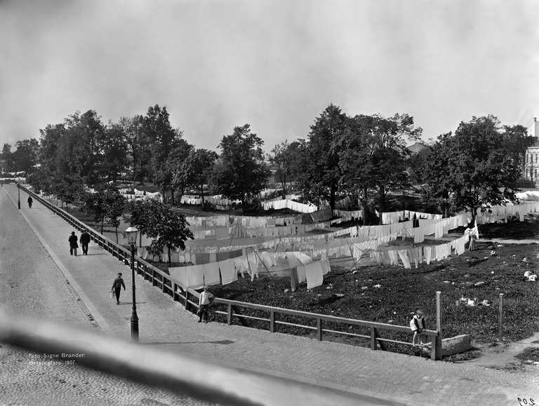 Pyykinkuivatusta Kaartinpuutarhassa (=Tehtaanpuistossa)