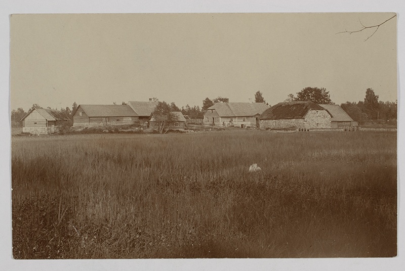Cell mill and farm, V. Rosenstrauch's homepage near the Power Station, Simuna khk
