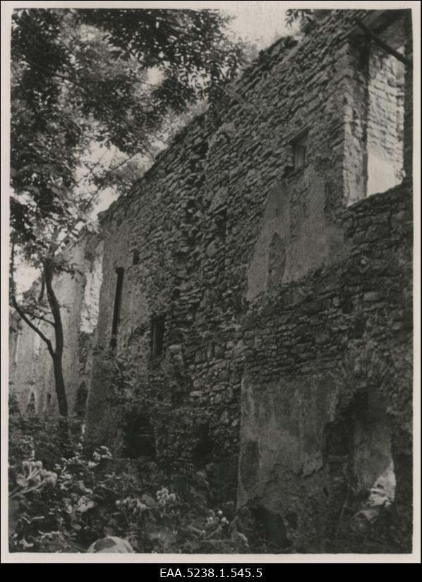 Kloostri mõisa peahoone varemete tagakülg
