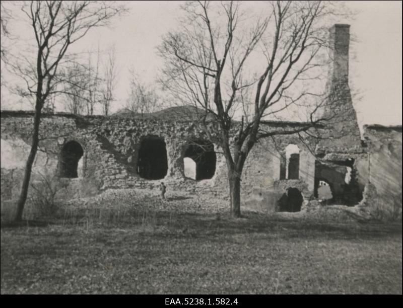 Järve mõisa peahoone varemed, vaade lõunast
