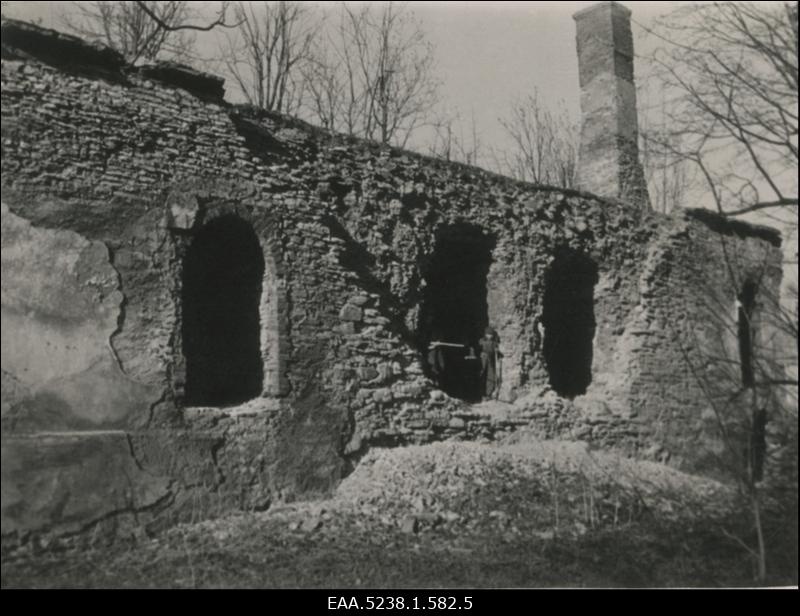 Järve mõisa vanema osa varemed, vaade edelast