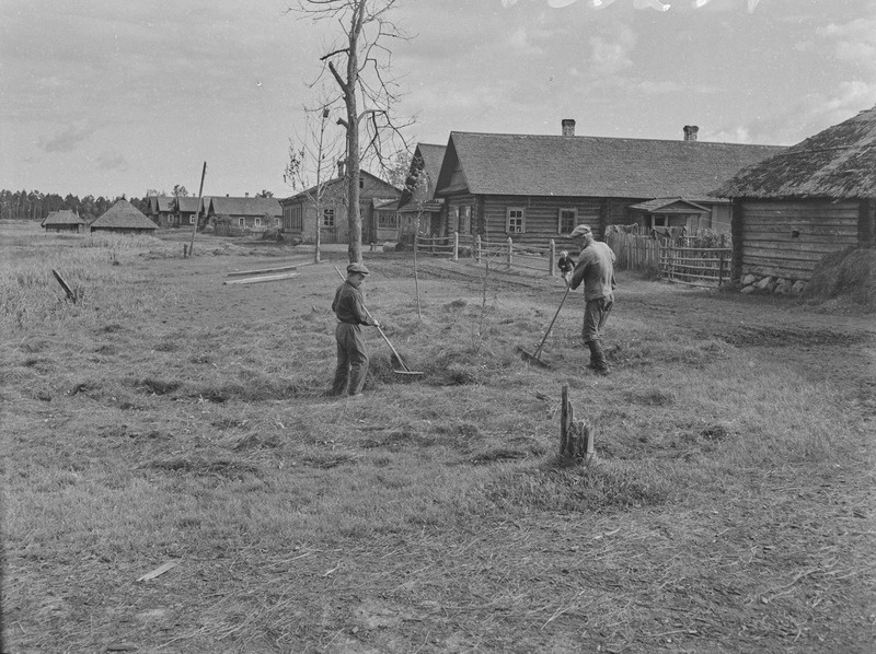 Heinakuivatamine Jõepära küla tänaval