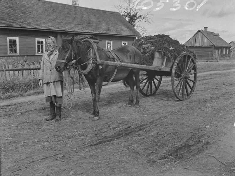 Sõnnikuvedu kaarikuga, Jõepära k