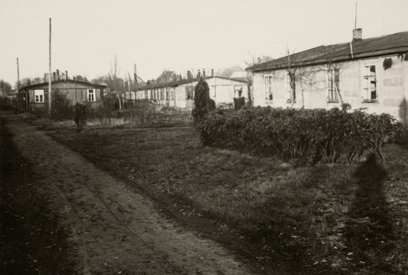 Sandplatsi DP-laagri barakid, u 1948-49.