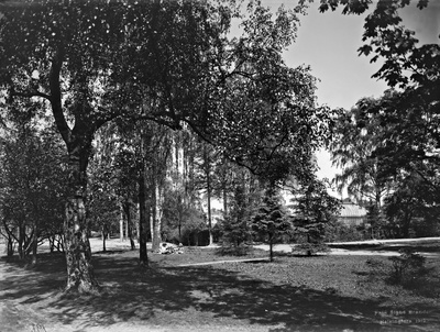Kaisaniemi  duplicate photo