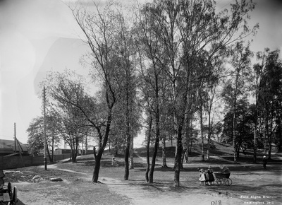 Kaisaniemi.  duplicate photo