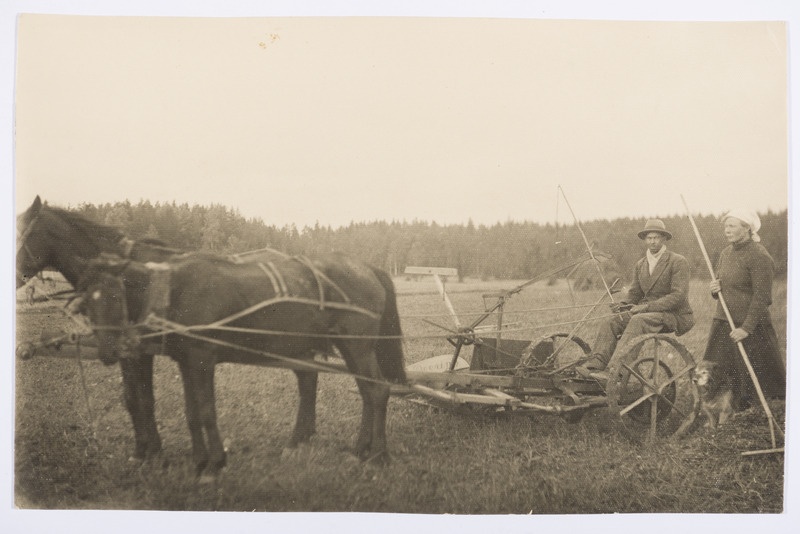 Teodor Swedri ja Rosali Vister Kiisa talus heinatöödel 1933