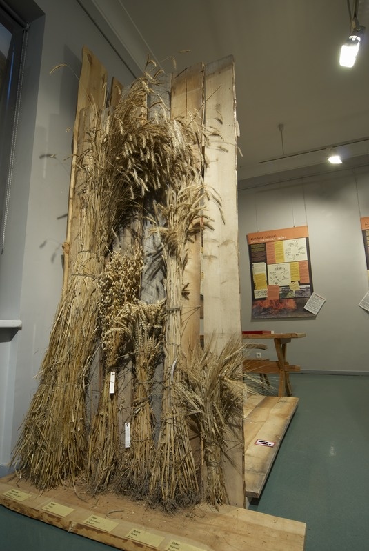 Näitus "Kui põllud põlesid" ERMi näitusemajas 17.11.2010 - 03.03.2011