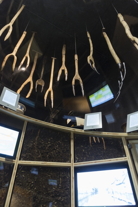 Teemasaare "Sõnnik" sisevaade näitusel "Inimene ja looduskeskkond"