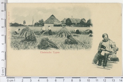 Rukkilõikus  duplicate photo