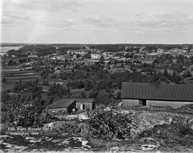 Etu-Töölö, Fjelldalin huvila-alue