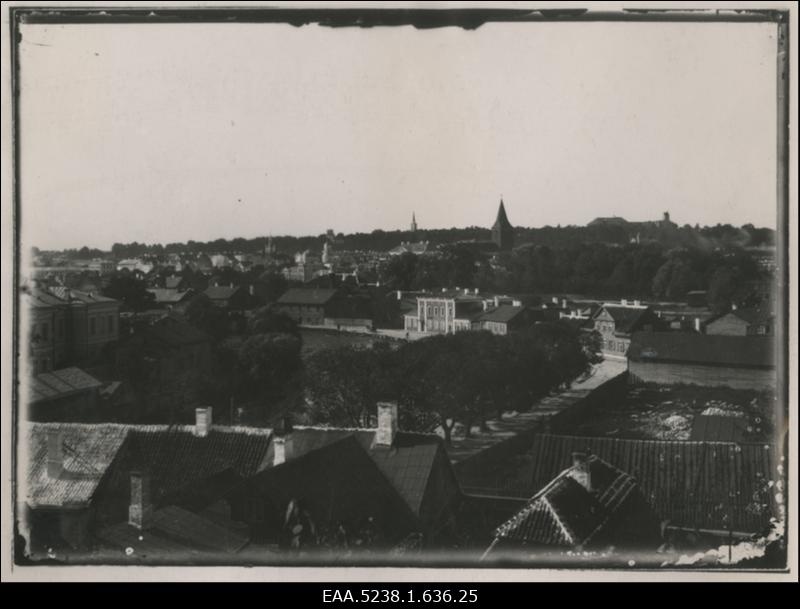 Vaade Tartu linnale Meltsi tiigi poolt, koopia fotost