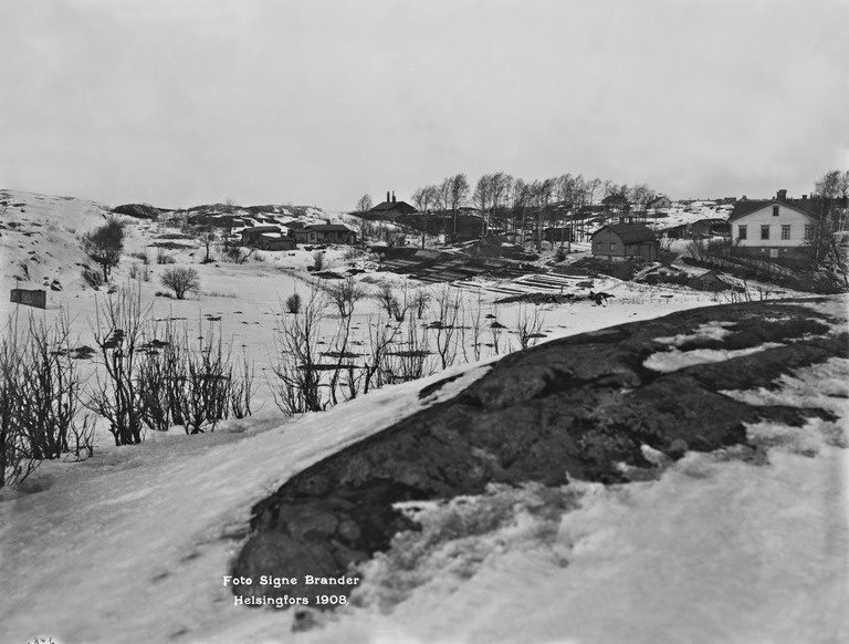 Etu-Töölö, Fjelldalin huvila-alue