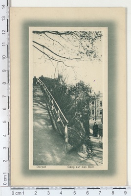Dorpat, staircase in Toomemäe  duplicate photo