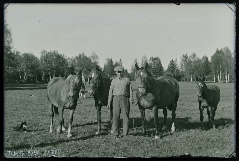 Vaade: hobused koplis koos tundmatu mehega. Tõnuri talu, Oru küla.