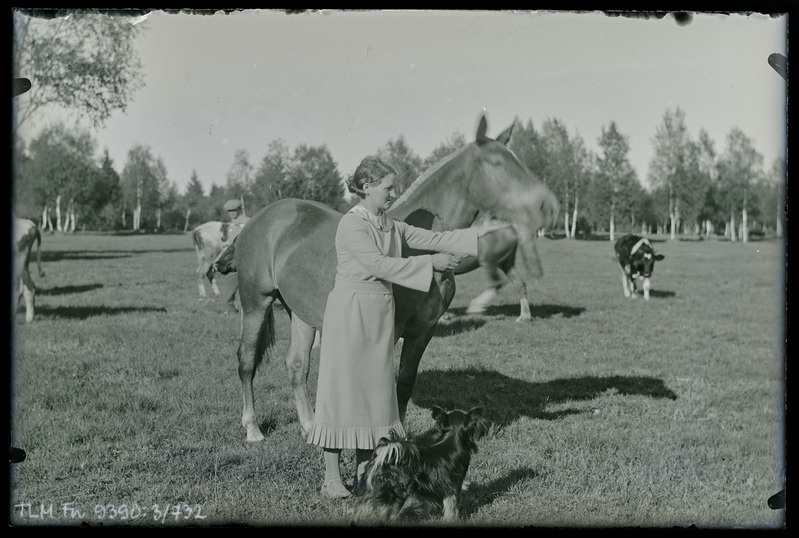 Vaade: karjamaal, tundmatu naine hobuse ja koeraga. Tõnuri talu, Oru küla.