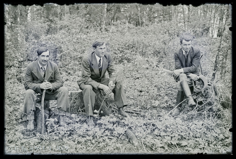 Grupiportree vasakult: Alo Noorma, Arko Topasia, Raho Tomingas istuvad metsas kändudel.