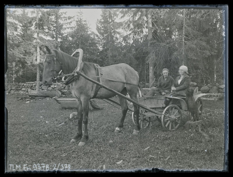 Vaade: hobuvanker kahe tundmatu naisega.