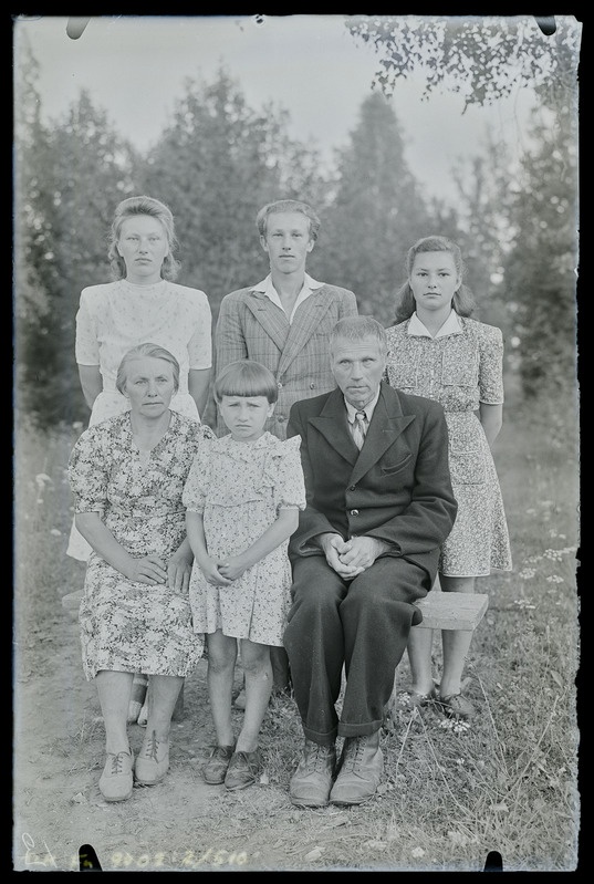 Grupipilt: perekond Puulaid