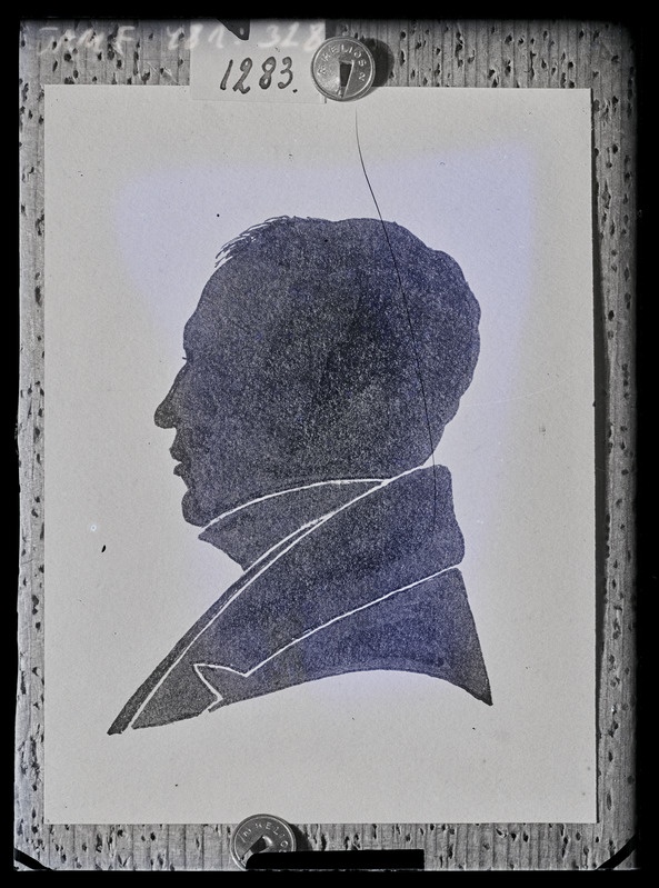 Mehe rindportree profiilis