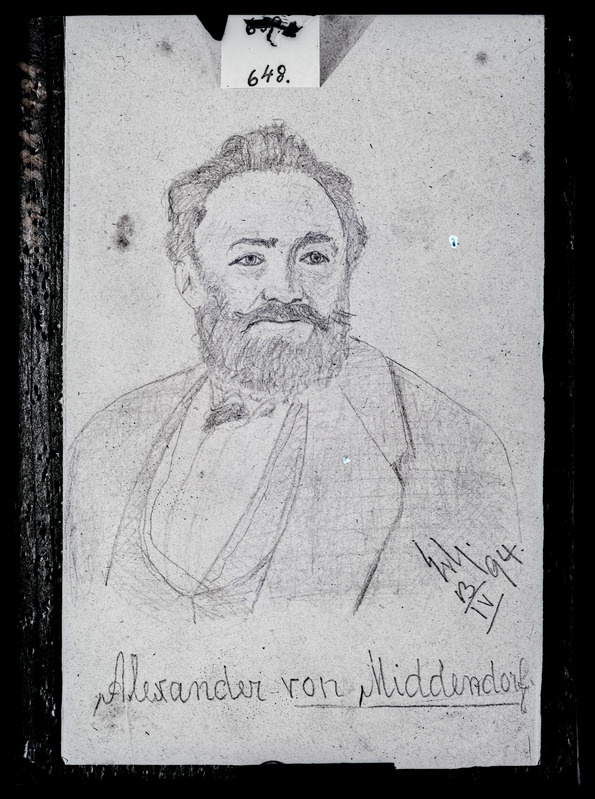 Mehe portree. Alexander von Middendorf