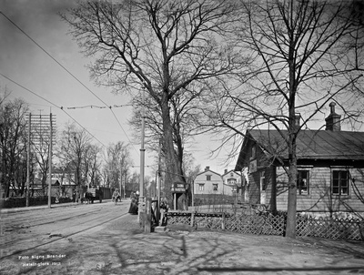 Huvila Toivo 49. Läntinen Viertotie (nykyinen Mannerheimintie 17).  duplicate photo