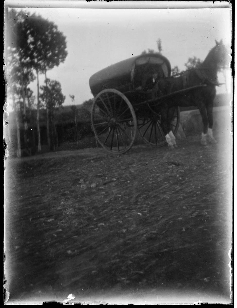 [Horse with carriage] - Horse pulling a carriage.