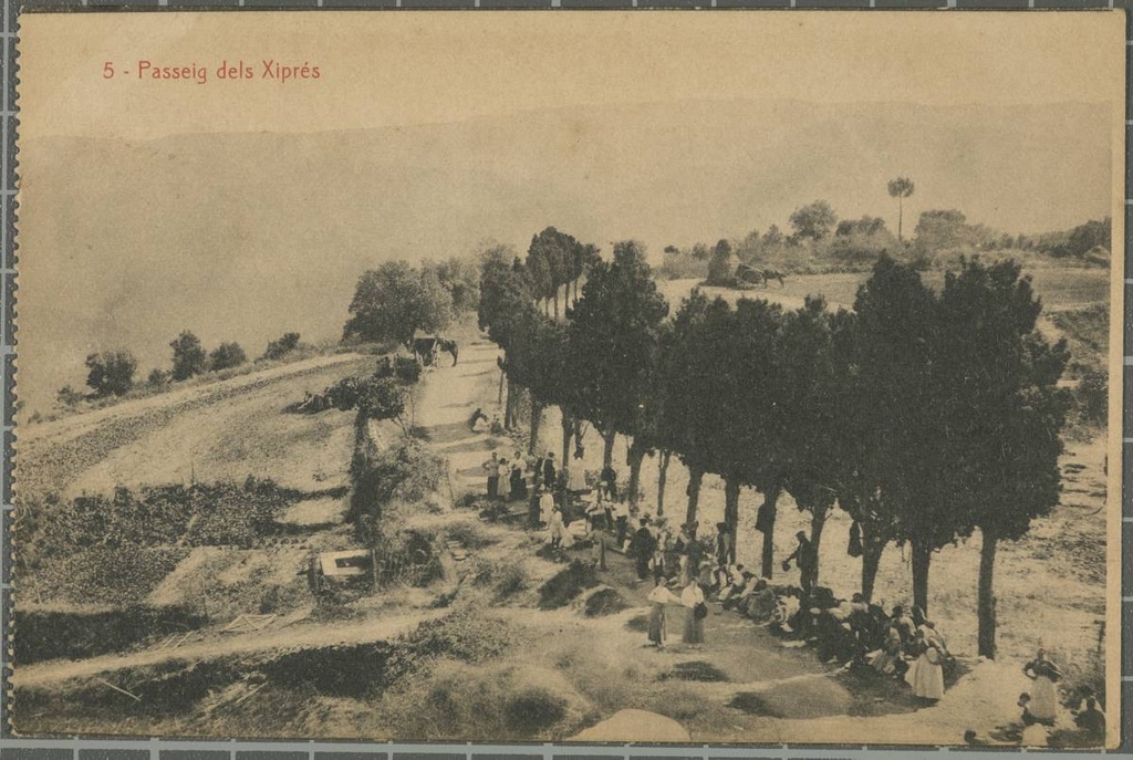 5-Promenade of the Xiprés - Walk of the cypress giving access to the sanctuary of the Angels, to St. Martin Old.