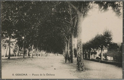 8. Gerona-Paseo de la Dehesa - The Paseo de la Dehesa seen from the Clock. On the right, the houses that give access to the Gardens of Queen Victoria.  duplicate photo