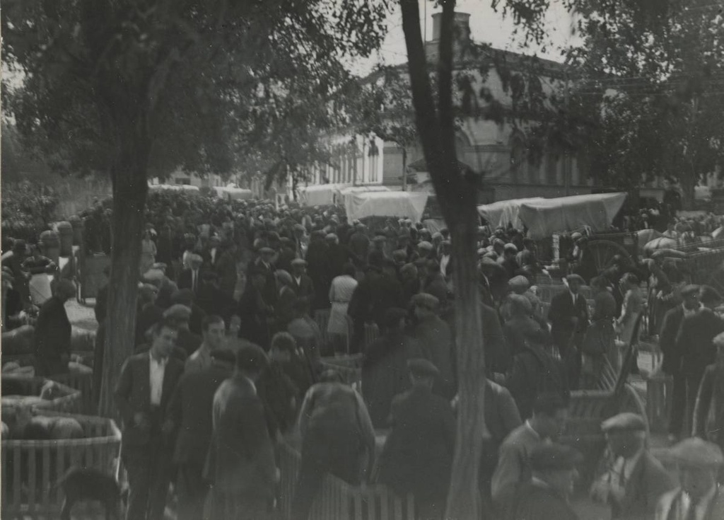 [Cattle market on Paseo General Mendoza] - The old cattle market in Calvet and Rubalcaba Square. The building would then be transformed into Mendoza headquarters.