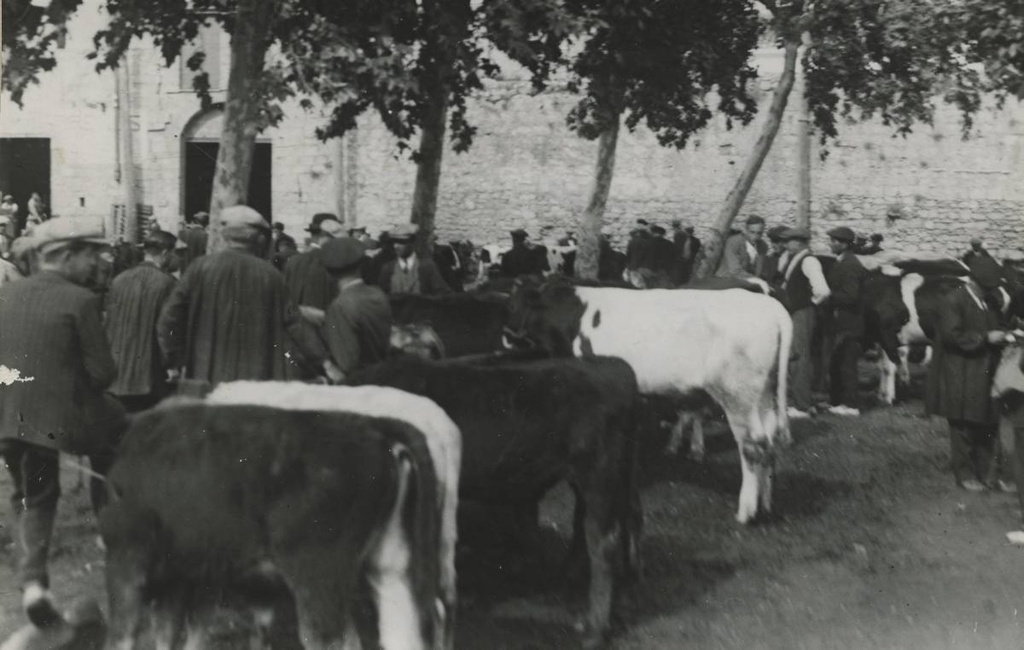 [Cattle market on Paseo General Mendoza] - The old cattle market, on Paseo General Mendoza