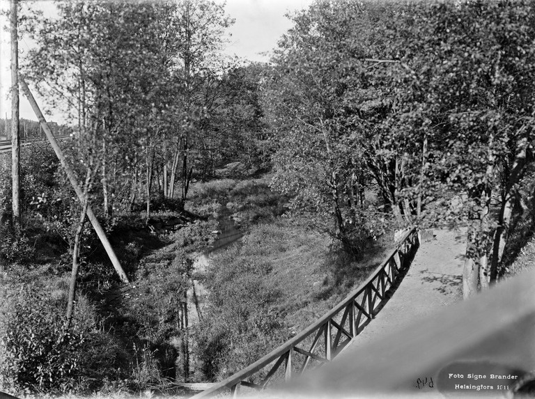 Eläintarhaa radan itäpuolelta