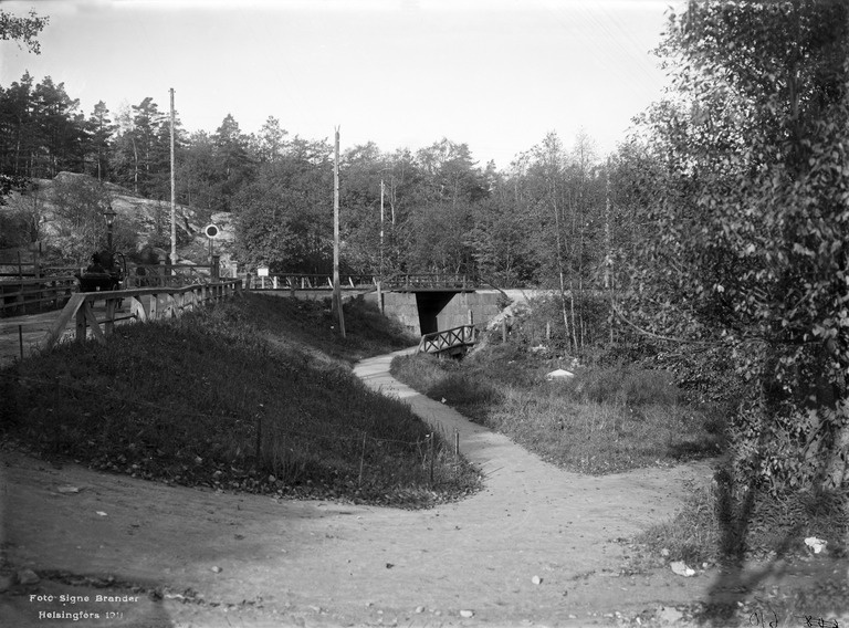 Eläintarha