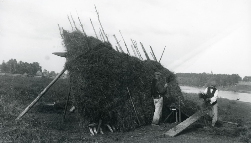 Linarõuk ja kupardamine Pärnu Kiisa k. 1925.a.