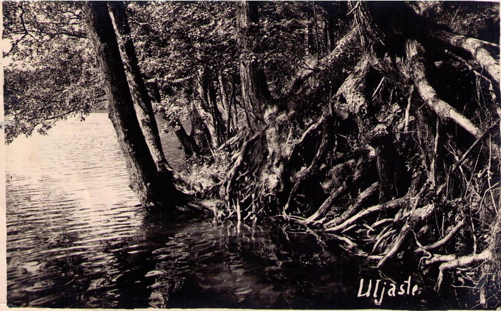 Fotopostkaart. Uljaste järv