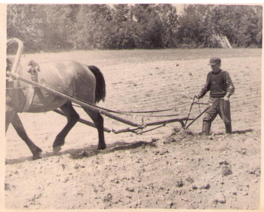 Leonhard Reest kolhoosipõllul kündmas